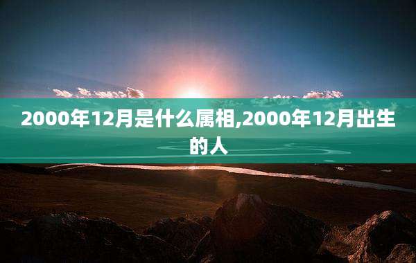 2000年12月是什么属相,2000年12月出生的人
