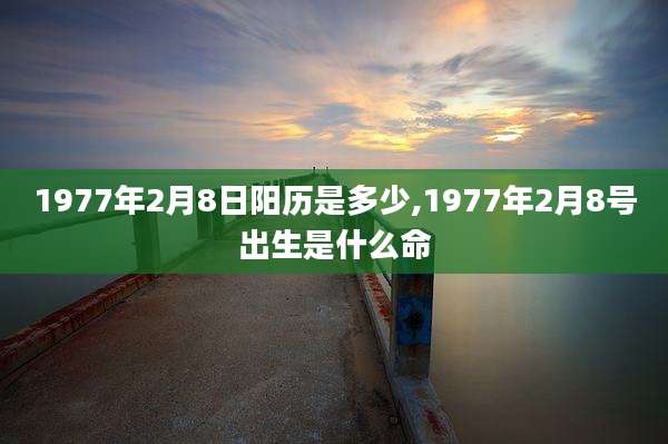 1977年2月8日阳历是多少,1977年2月8号出生是什么命