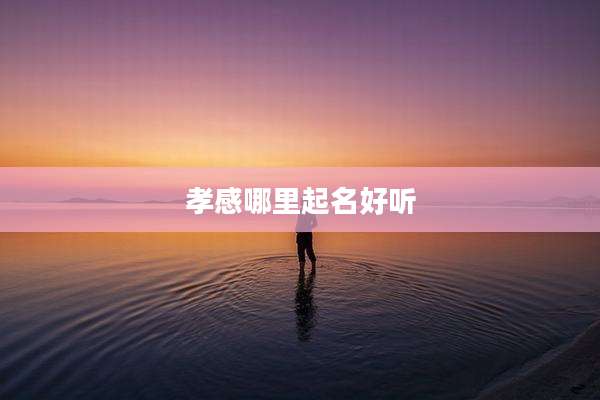 孝感哪里起名好听