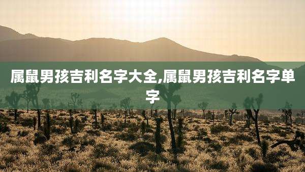 属鼠男孩吉利名字大全,属鼠男孩吉利名字单字