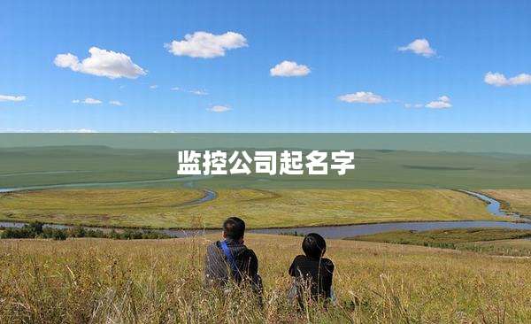 监控公司起名字