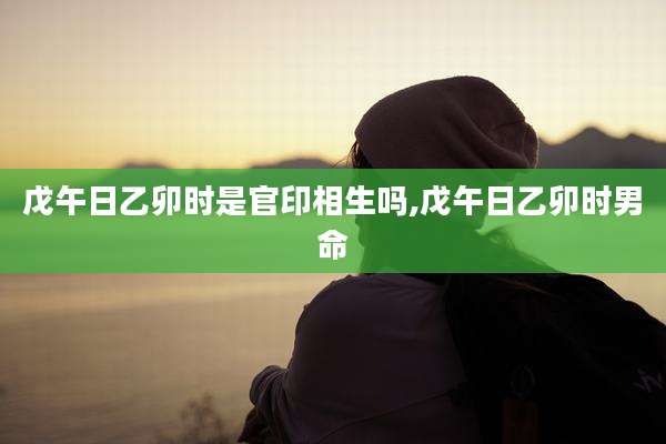 戊午日乙卯时是官印相生吗,戊午日乙卯时男命