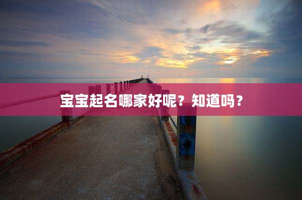 宝宝起名哪家好呢?知道吗?