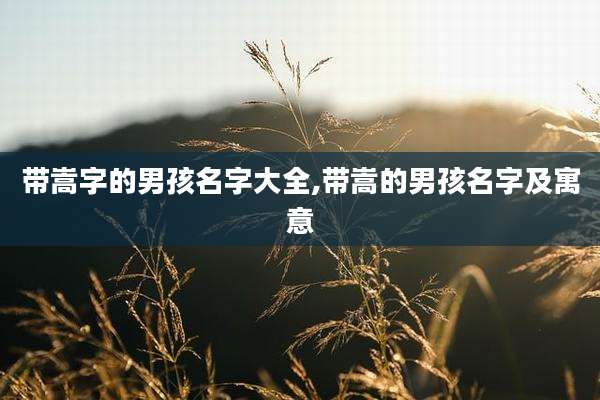 带嵩字的男孩名字大全,带嵩的男孩名字及寓意