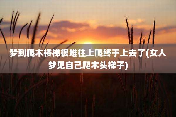 梦到爬木楼梯很难往上爬终于上去了(女人梦见自己爬木头梯子)