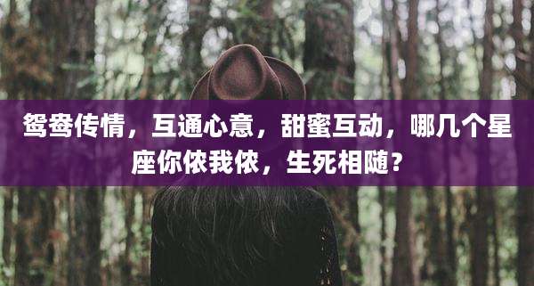 鸳鸯传情，互通心意，甜蜜互动，哪几个星座你侬我侬，生死相随？