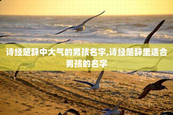 诗经楚辞中大气的男孩名字,诗经楚辞里适合男孩的名字