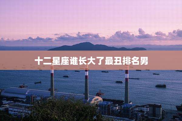 十二星座谁长大了最丑排名男