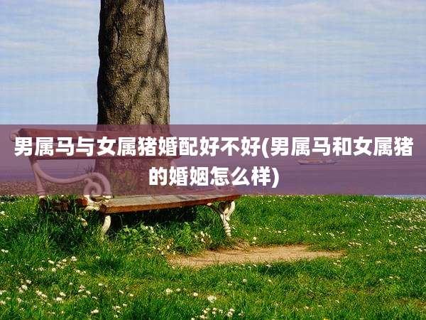 男属马与女属猪婚配好不好(男属马和女属猪的婚姻怎么样)