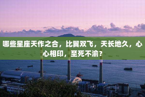 哪些星座天作之合,比翼双飞,天长地久,心心相印,至死不渝?