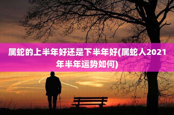 属蛇的上半年好还是下半年好(属蛇人2021年半年运势如何)