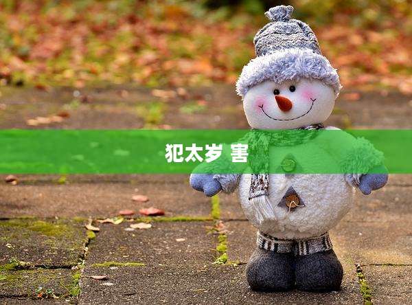 犯太岁 害