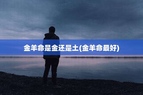 金羊命是金还是土(金羊命最好)