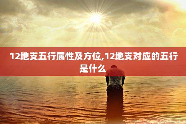 12地支五行属性及方位,12地支对应的五行是什么