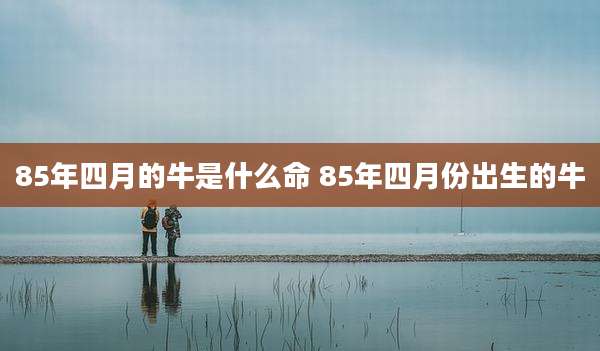 85年四月的牛是什么命 85年四月份出生的牛