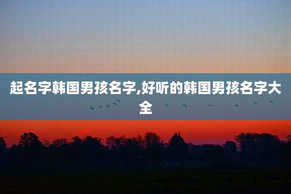 起名字韩国男孩名字,好听的韩国男孩名字大全