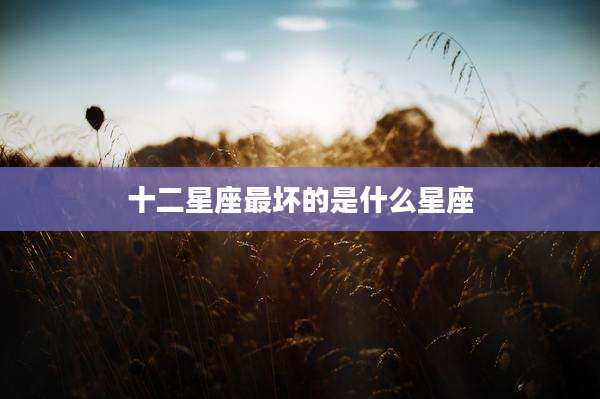 十二星座最坏的是什么星座