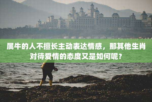 属牛的人不擅长主动表达情感,那其他生肖对待爱情的态度又是如何呢?