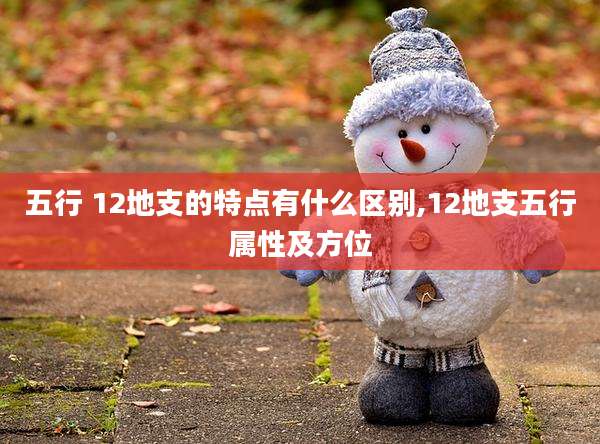 五行 12地支的特点有什么区别,12地支五行属性及方位