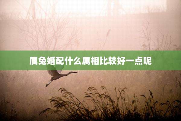 属兔婚配什么属相比较好一点呢