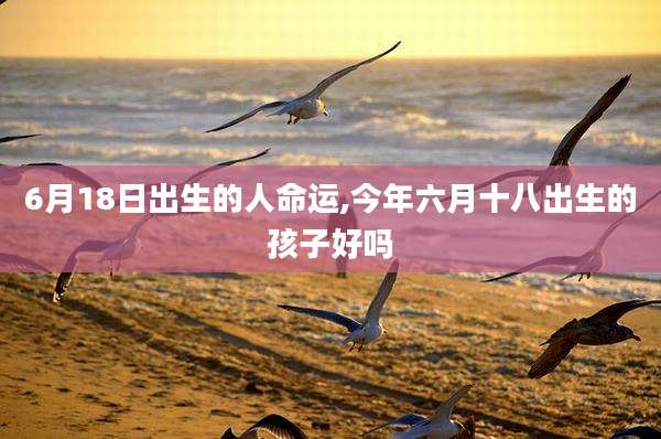 6月18日出生的人命运,今年六月十八出生的孩子好吗