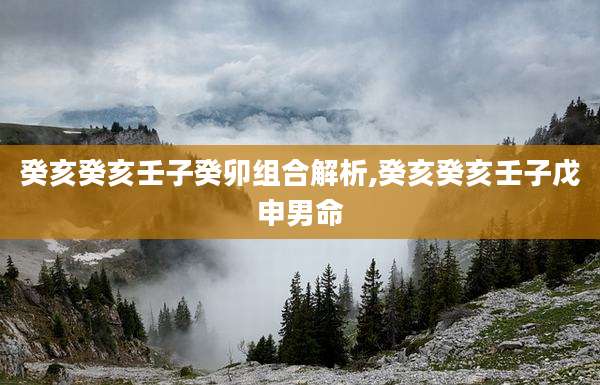 癸亥癸亥壬子癸卯组合解析,癸亥癸亥壬子戊申男命