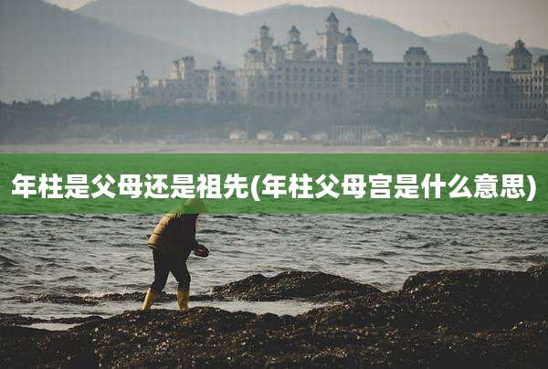 年柱是父母还是祖先(年柱父母宫是什么意思)