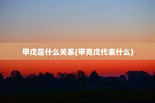 甲戊是什么关系(甲克戊代表什么)