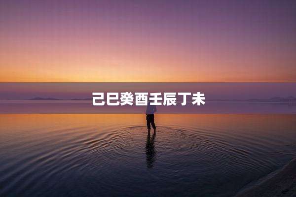 己巳癸酉壬辰丁未