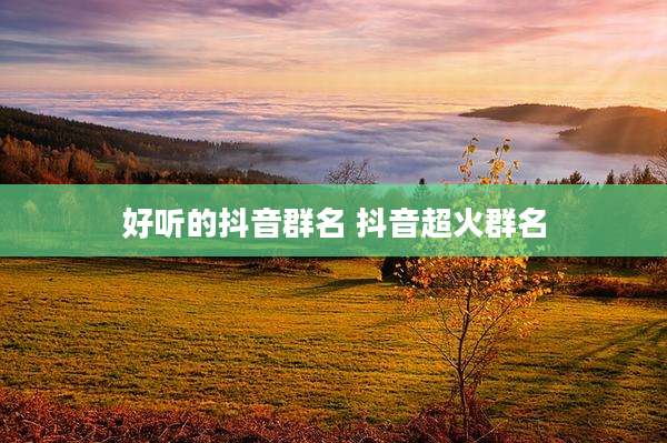 好听的抖音群名 抖音超火群名