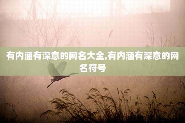 有内涵有深意的网名大全,有内涵有深意的网名符号