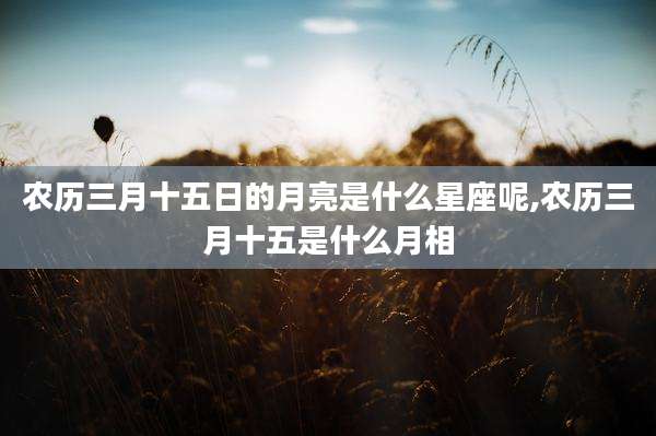 农历三月十五日的月亮是什么星座呢,农历三月十五是什么月相