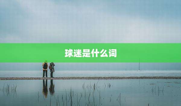 球迷是什么词