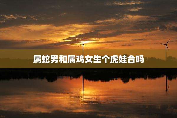 属蛇男和属鸡女生个虎娃合吗