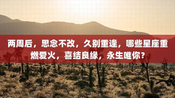 两周后,思念不改,久别重逢,哪些星座重燃爱火,喜结良缘,永生唯你?