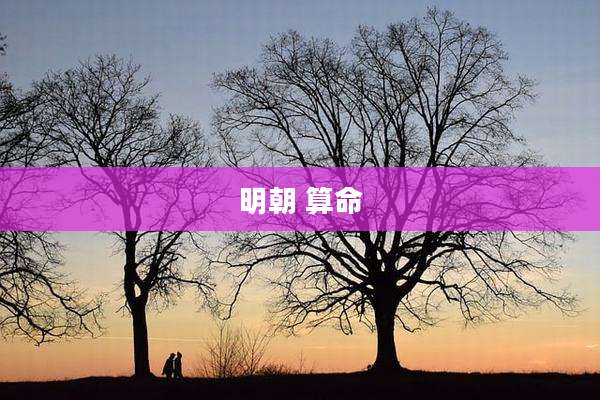 明朝 算命