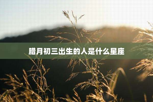 腊月初三出生的人是什么星座
