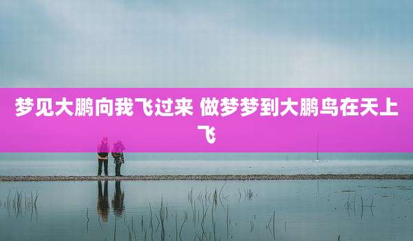 梦见大鹏向我飞过来 做梦梦到大鹏鸟在天上飞