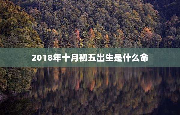 2018年十月初五出生是什么命