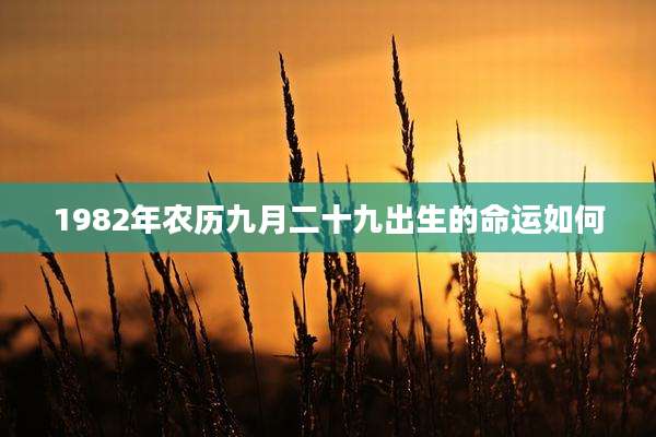 1982年农历九月二十九出生的命运如何