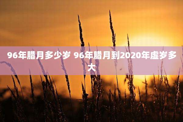 96年腊月多少岁 96年腊月到2020年虚岁多大