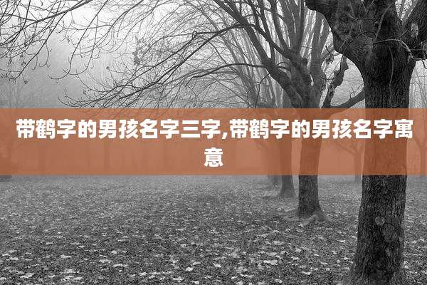 带鹤字的男孩名字三字,带鹤字的男孩名字寓意