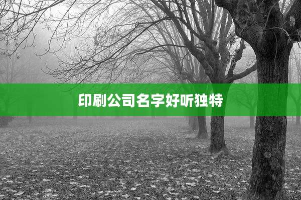 印刷公司名字好听独特