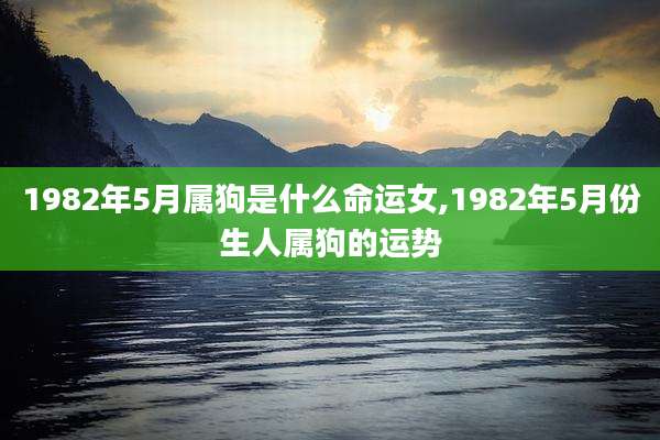 1982年5月属狗是什么命运女,1982年5月份生人属狗的运势
