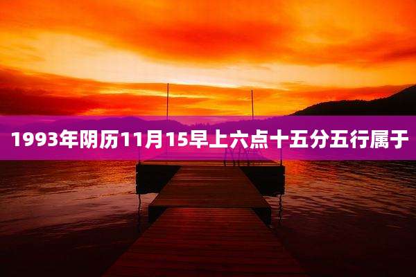 1993年阴历11月15早上六点十五分五行属于