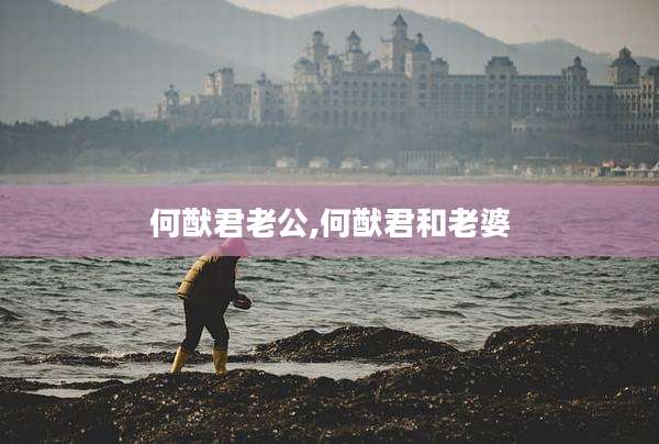 何猷君老公,何猷君和老婆