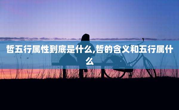 哲五行属性到底是什么,哲的含义和五行属什么