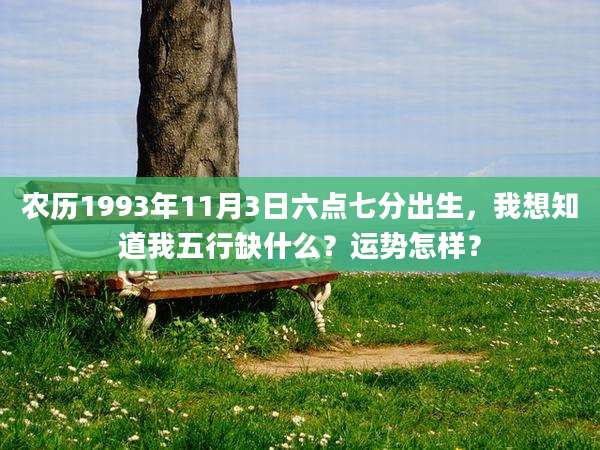 农历1993年11月3日六点七分出生,我想知道我五行缺什么?运势怎样?