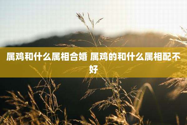 属鸡和什么属相合婚 属鸡的和什么属相配不好