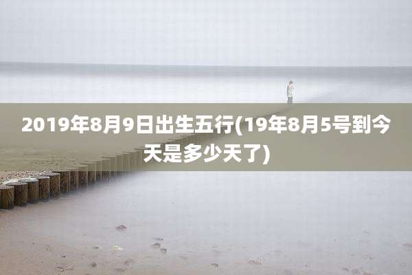 2019年8月9日出生五行(19年8月5号到今天是多少天了)